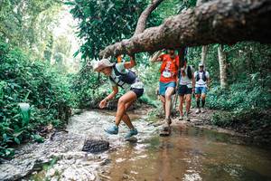 BIB: 
                            <button type="button" onclick="openModal(25368898)" class="btn btn-primary btn-sm float-right btn-popup" data-toggle="modal" data-target=".modal-high-quality">
                        <i class="fas fa-shopping-cart"></i> Add to Cart
                    </button>
                                            <button type="button" onclick="isThisMe(25368898, true)" class="btn btn-success btn-sm float-right btn-popup btn-isme hidden" data-toggle="tooltip" data-placement="bottom" title="นี่คือรูปของคุณใช่ไหม คลิกที่นี่เพื่อเอาเข้าอัลบั้ม">
                        <i class="fas fa-plus"></i> Add to album
                    </button>
                    <button type="button" onclick="isThisMe(25368898, false)" class="btn btn-warning btn-sm float-right btn-popup btn-isnotme hidden">
                        <i class="fas fa-ban"></i> Remove from album
                    </button>